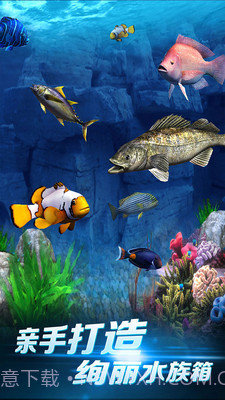 啪啪钓鱼最新版截图3