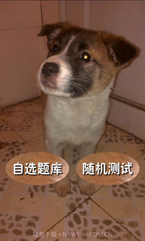 奥数题及答案截图1 奥数题及答案截图1