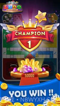 Ludo Pro卢多之王截图2