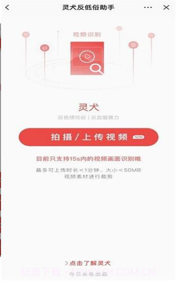 今日头条灵犬官方版截图1 今日头条灵犬官方版截图1