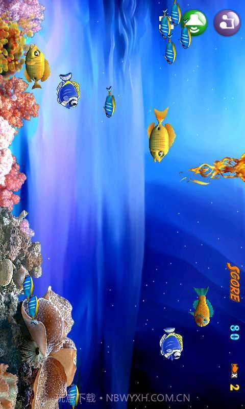 大鱼吃小鱼-深海大冒险截图3
