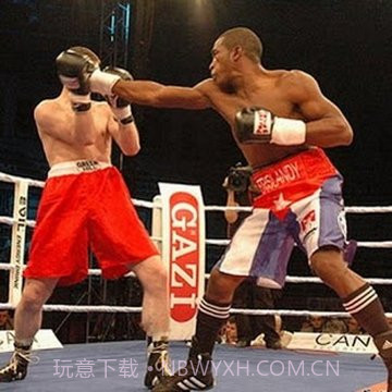 拳击WWE游戏截图4 拳击WWE游戏截图4