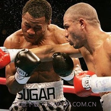 拳击WWE游戏截图3 拳击WWE游戏截图3