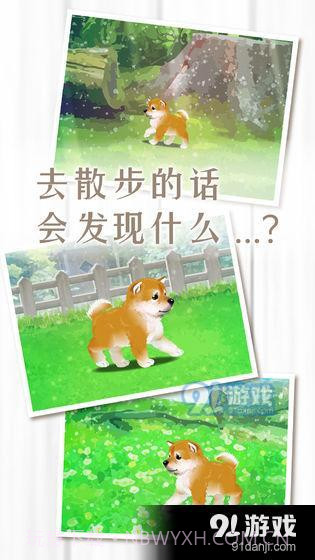 养育柴犬的治愈游戏截图3