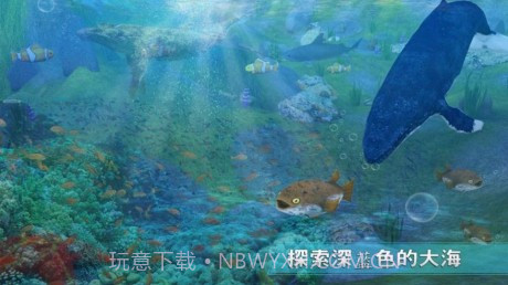 全民养鲸鱼截图1 全民养鲸鱼截图1