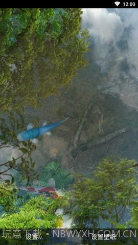 3d鱼池动态壁纸（Koi）截图1