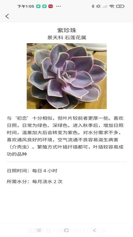 嘟嘟多肉植物鉴截图2