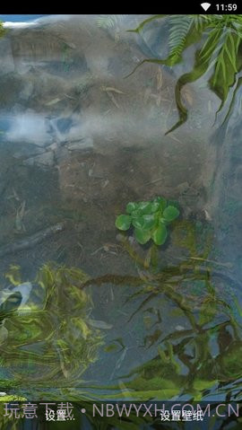 3d鱼池动态壁纸（Koi）截图2