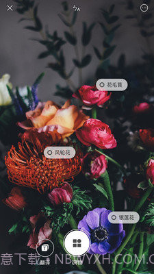 小米智能识物截图3