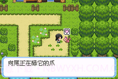 可梦之牧场物语GBA版截图2 可梦之牧场物语GBA版截图2