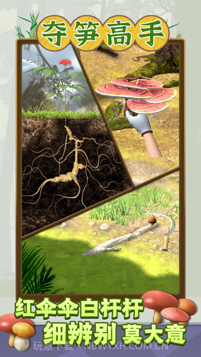 夺笋高手截图4 夺笋高手截图4