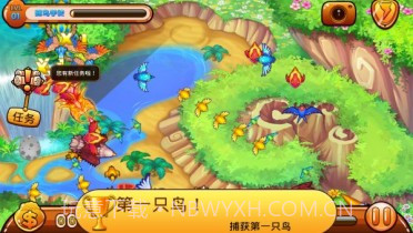 捕鸟达人2截图4