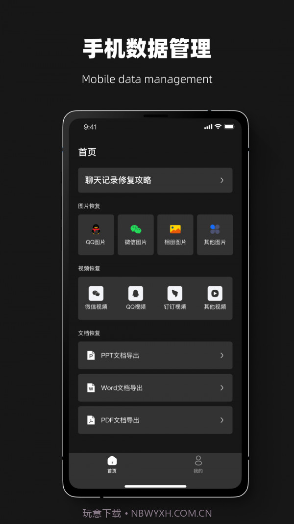 恢复大师夜间版截图1
