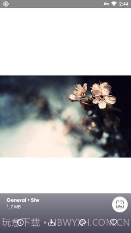 Wallpapers截图2 Wallpapers截图2