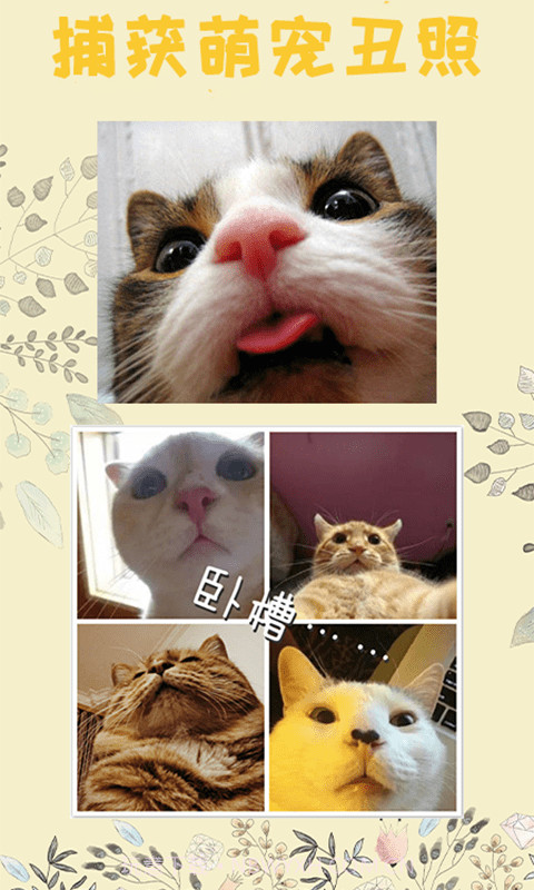 猫语器截图2 猫语器截图2