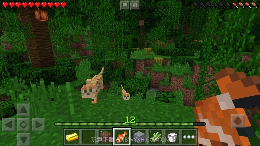 我的世界珍妮神灯模组截图2 我的世界珍妮神灯模组截图2