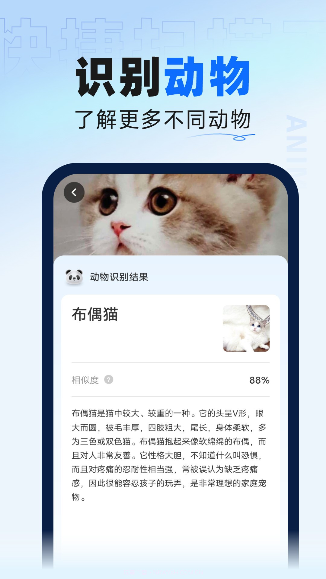 迅捷扫描大师截图1 迅捷扫描大师截图1