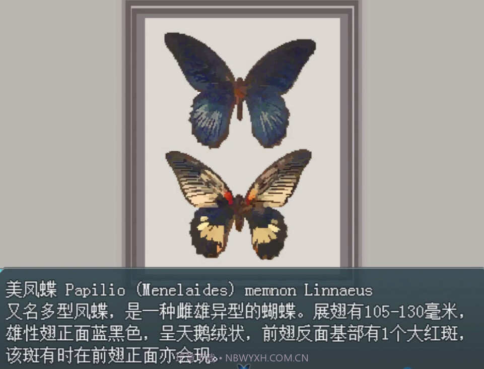 白夜博物馆修改版截图5