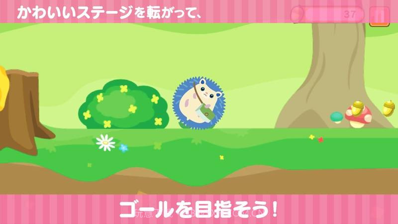 小小刺猬球截图5