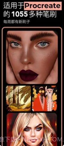 brushes for procreat截图2