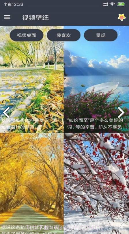VideoWallpaper(videowallpaper小米)V3.2.3 安卓中文版截图3