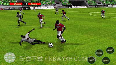 俄罗斯足球杯截图3