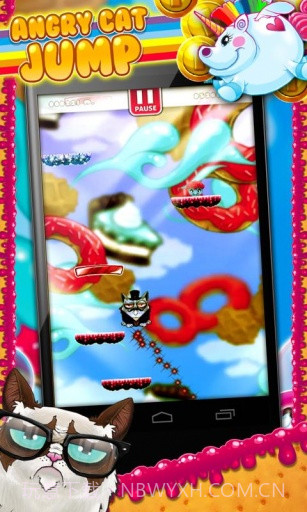 愤怒的猫 Angry Cat Jump截图1