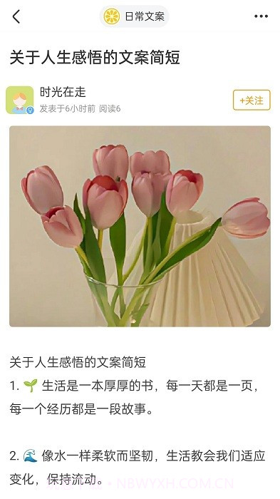 果橙头像壁纸截图1 果橙头像壁纸截图1