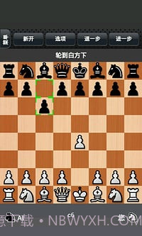 国际象棋下载免费版截图4