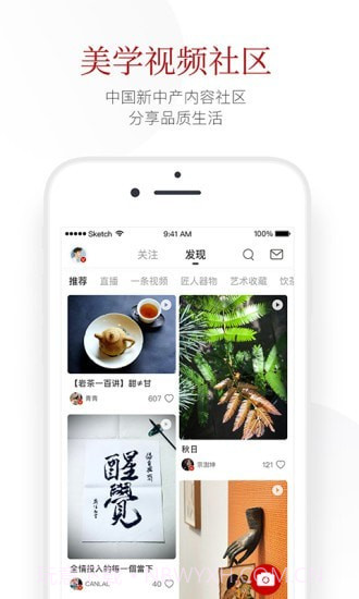 一条截图3