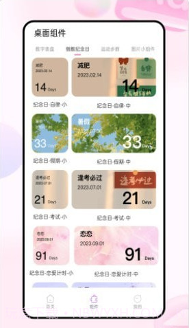 迷你小组件截图1