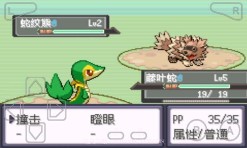 口袋妖怪漆黑的魅影截图1