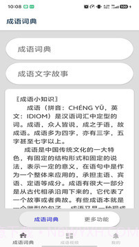 成语词典定制版截图1