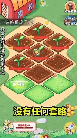 我的大花园截图1