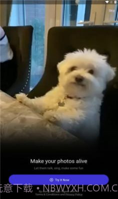 revive截图3 revive截图3