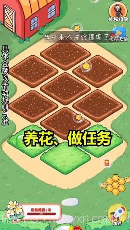 我的大花园截图3