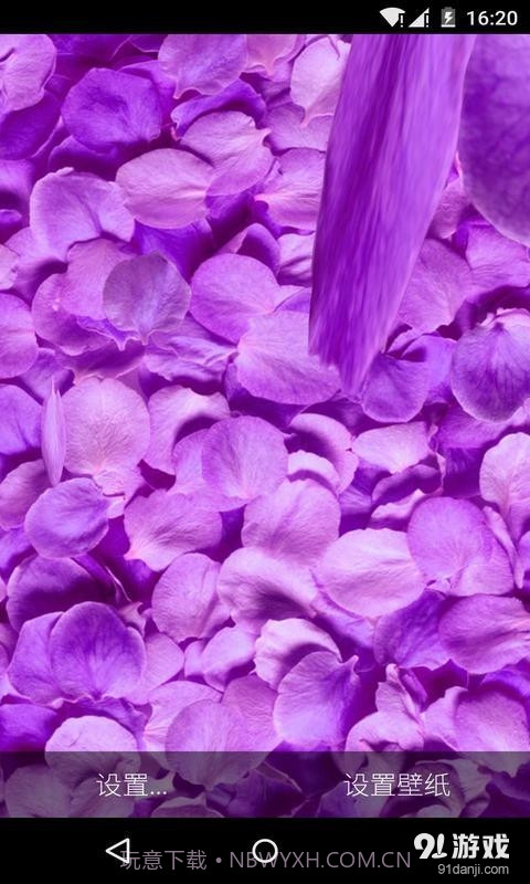 3D落花海：梦象动态壁纸截图2