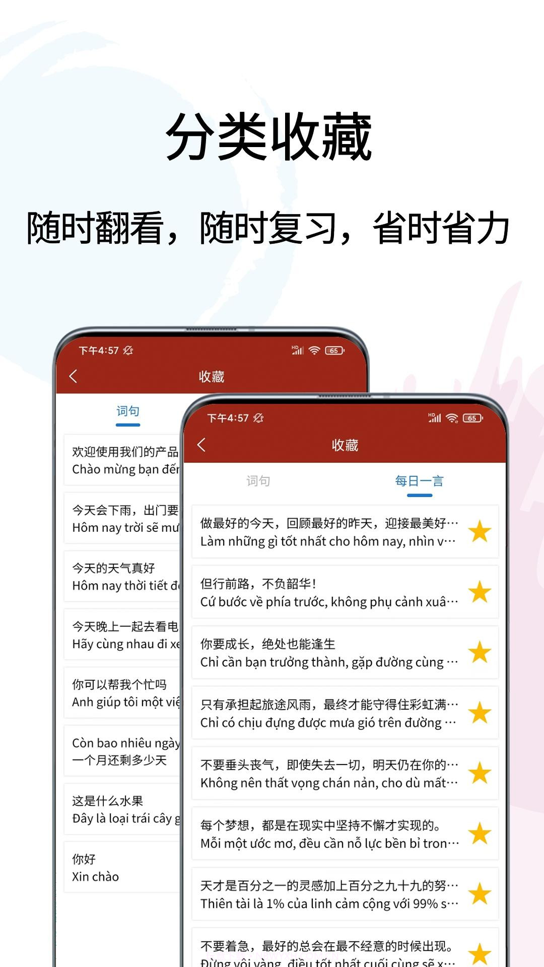 越南语翻译通截图4