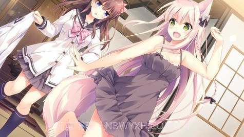 兽娘育成方案截图1 兽娘育成方案截图1