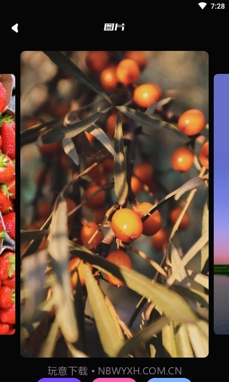 91主题壁纸截图3