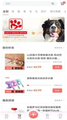 四季逗截图3 四季逗截图3