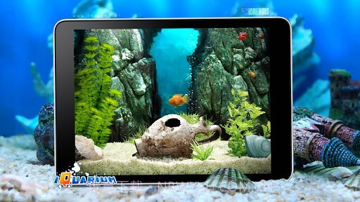 口袋水族馆截图2