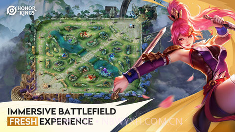 王者荣耀国际服（Honor of Kings）截图1