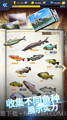 啪啪钓鱼官网版截图2