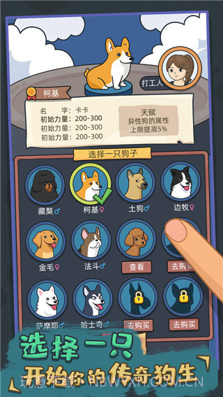 狗生模拟器中文版截图2