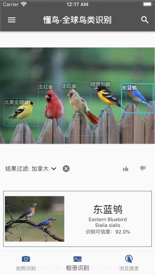 懂鸟全球截图3 懂鸟全球截图3