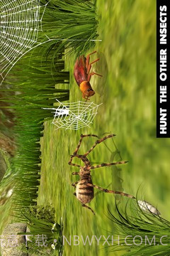 终极蜘蛛模拟器手机版截图1 终极蜘蛛模拟器手机版截图1