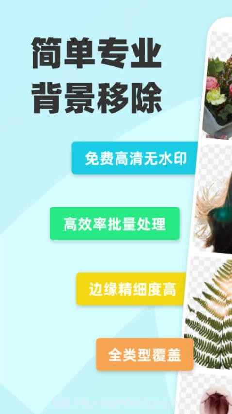 椰子设计纯净版截图2