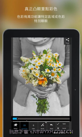 PixlrExpress手机版截图2