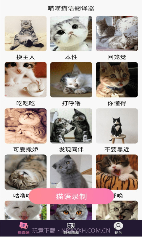 喵喵猫语翻译器截图2 喵喵猫语翻译器截图2